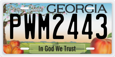 GA license plate PWM2443