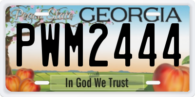 GA license plate PWM2444