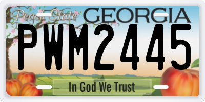 GA license plate PWM2445