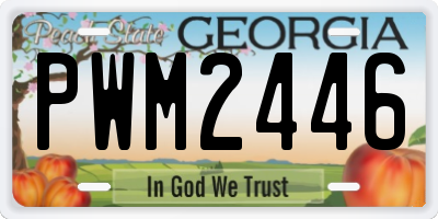 GA license plate PWM2446