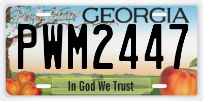 GA license plate PWM2447