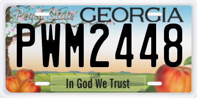 GA license plate PWM2448