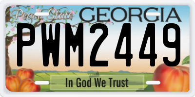 GA license plate PWM2449