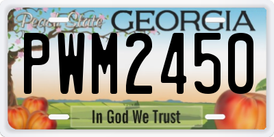 GA license plate PWM2450