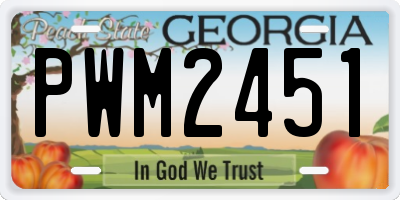 GA license plate PWM2451