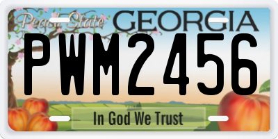 GA license plate PWM2456