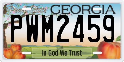 GA license plate PWM2459