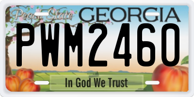 GA license plate PWM2460