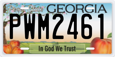 GA license plate PWM2461