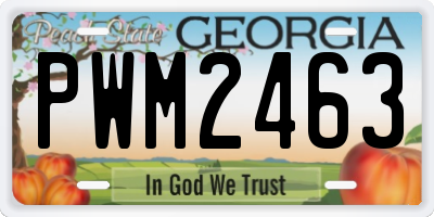 GA license plate PWM2463