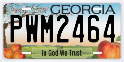 GA license plate PWM2464