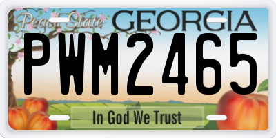 GA license plate PWM2465