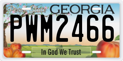 GA license plate PWM2466