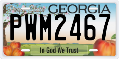 GA license plate PWM2467