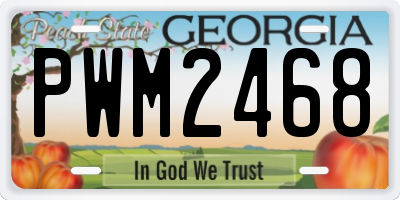 GA license plate PWM2468