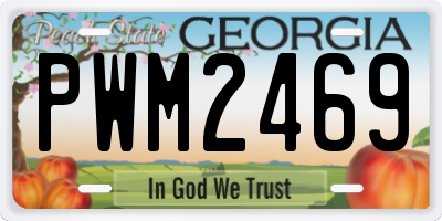 GA license plate PWM2469