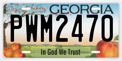 GA license plate PWM2470