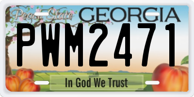 GA license plate PWM2471