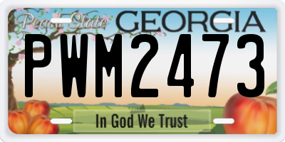 GA license plate PWM2473