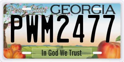 GA license plate PWM2477