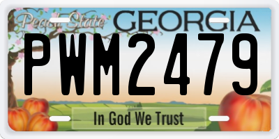GA license plate PWM2479