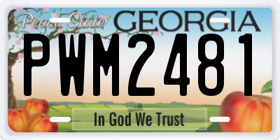 GA license plate PWM2481