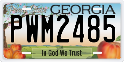 GA license plate PWM2485
