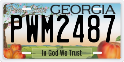 GA license plate PWM2487