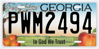 GA license plate PWM2494