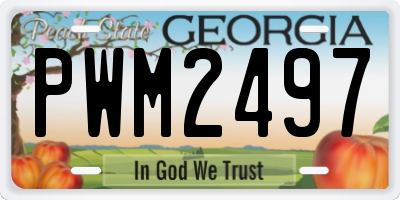 GA license plate PWM2497