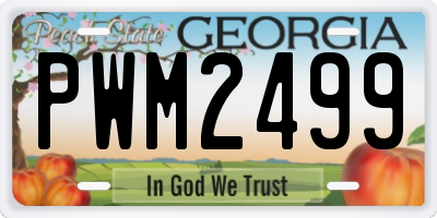 GA license plate PWM2499