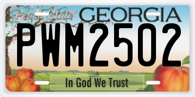 GA license plate PWM2502