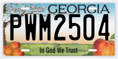 GA license plate PWM2504