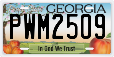 GA license plate PWM2509