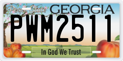GA license plate PWM2511