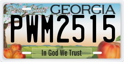 GA license plate PWM2515