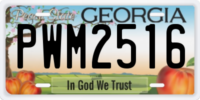 GA license plate PWM2516