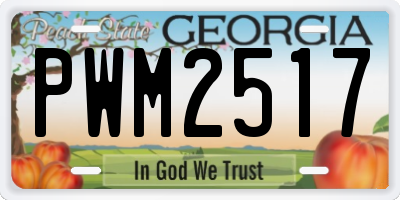 GA license plate PWM2517