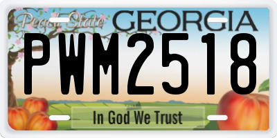 GA license plate PWM2518