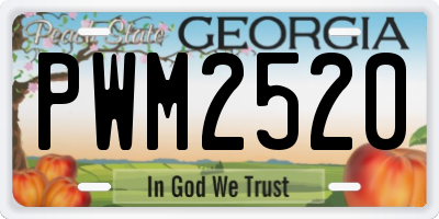GA license plate PWM2520