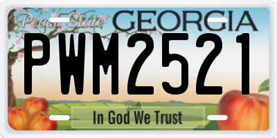 GA license plate PWM2521