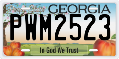 GA license plate PWM2523