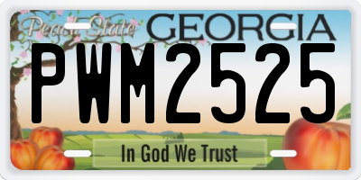 GA license plate PWM2525
