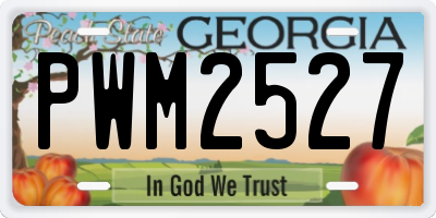 GA license plate PWM2527