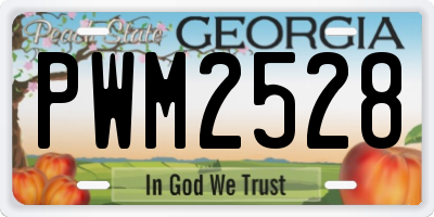 GA license plate PWM2528