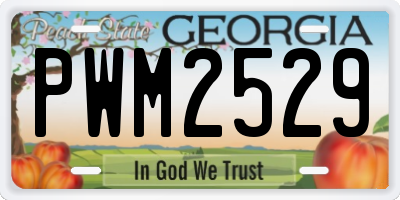 GA license plate PWM2529