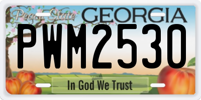 GA license plate PWM2530