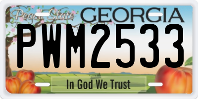 GA license plate PWM2533