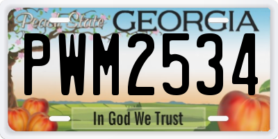 GA license plate PWM2534