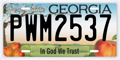 GA license plate PWM2537